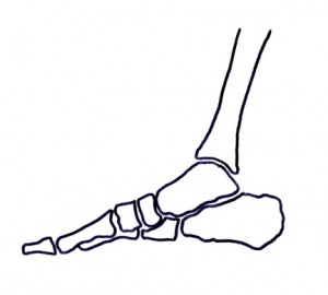 foot and shin alignment