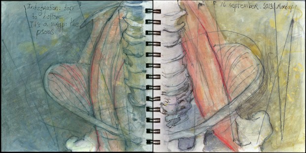 Integration: top to bottom. It's a wrap: the psoas.