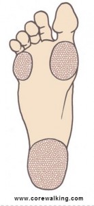 calluses