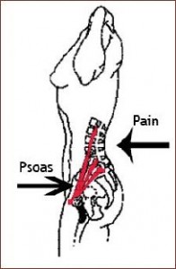 psoas lumbar spine and lower back pain