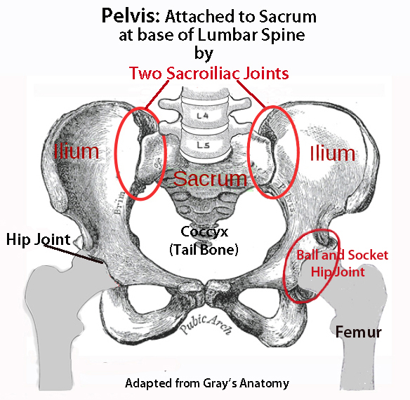 Lower Back Pain Due To Hip Flexor Zone Aching Hips When Sleeping 