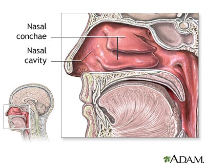 breathing through the nose - CoreWalking