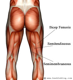 Tren injection in leg