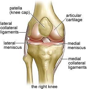 Core strength: A Block Between the Thighs