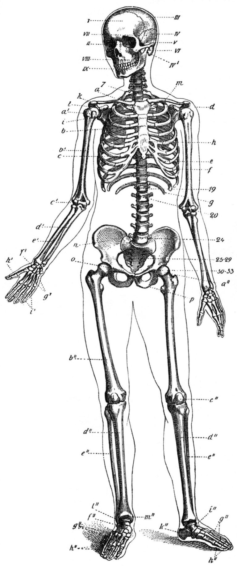 All of the Body's Joints are Reciprocal