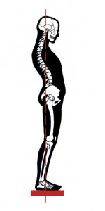 poor standing posture interferes with the functioning of the diaphragm