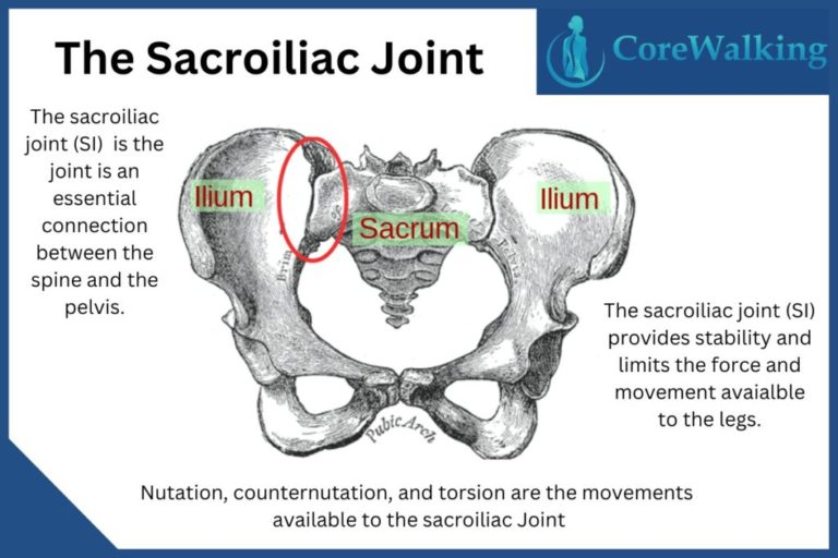 Piriformis Syndrome and the Sacroiliac Joint: Two Peas In A Pod