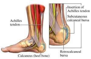 The Timeline of an Injury