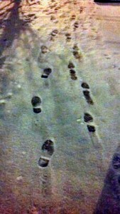 foot prints in snow