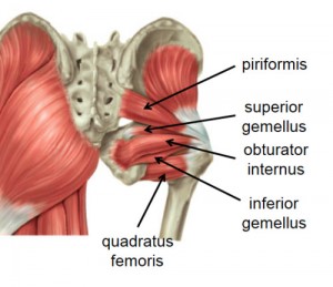 quadratus femoris stretch