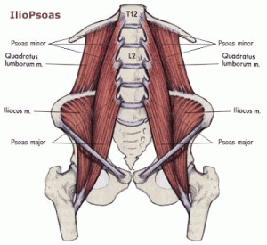 psoas pain