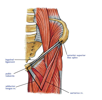 Inguinal Ligament Pain - CoreWalking