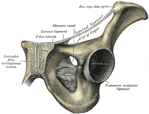 inguinal ligament pain