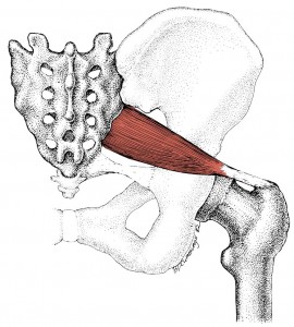 what is a piriformis release?