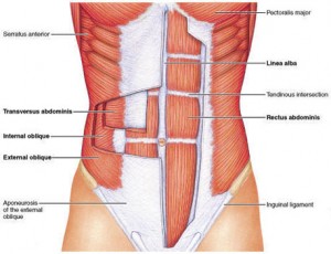 the myth of core stability