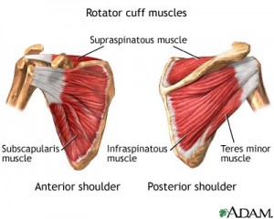 Strengthening the rotator cuff fo stabilze the shoulders on the back