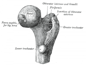 treatment for snapping hip syndrome