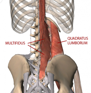 tight lower back muscles