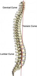 lower back pain and leaning backwards