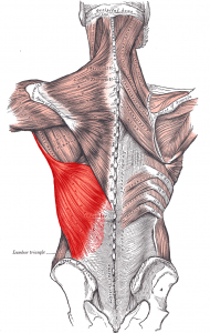 tight latissimus dorsi