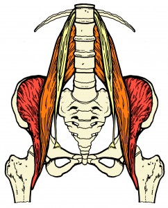 Is the Psoas Always a Factor in Lower Back Pain?