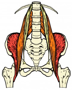 psoas lower back pain