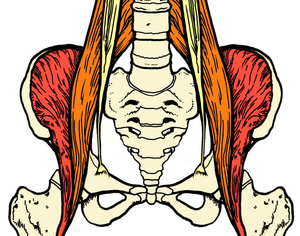 Donde esta el psoas iliaco