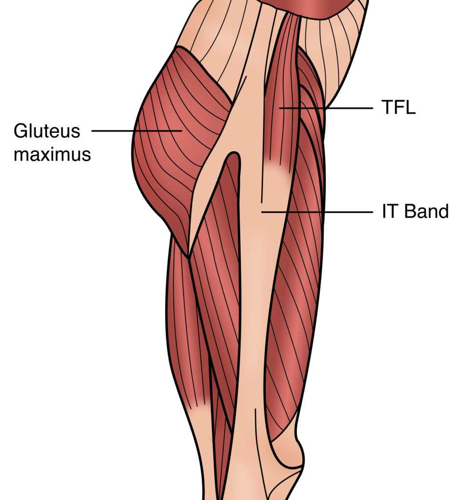 Sciatica & Piriformis Syndrome