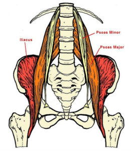 Constructive Rest: The Best Way To Relax Your Psoas